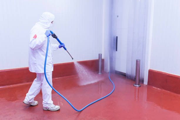 Best Sidewalk and Walkway Cleaning  in Tioga Terrace, NY